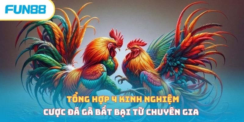 Tổng Hợp 4 Kinh Nghiệm Cược Đá Gà Bất Bại Từ Chuyên Gia fun88 32